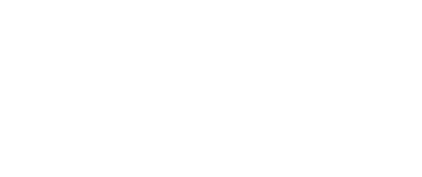 fearless warrior logo